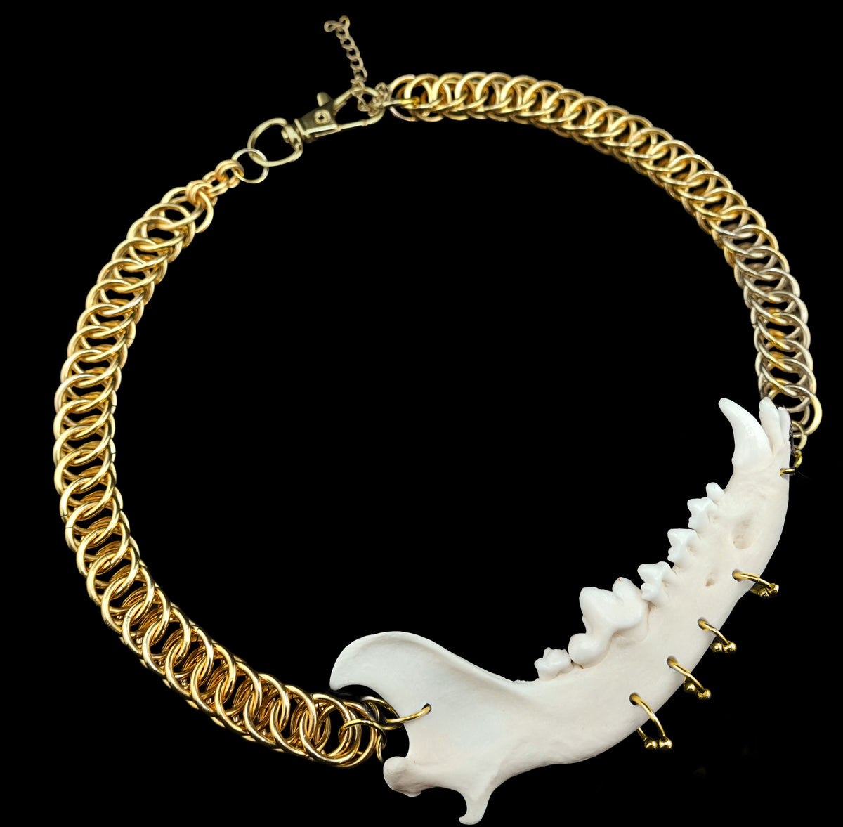 Jaw Breaker Chainmail Choker