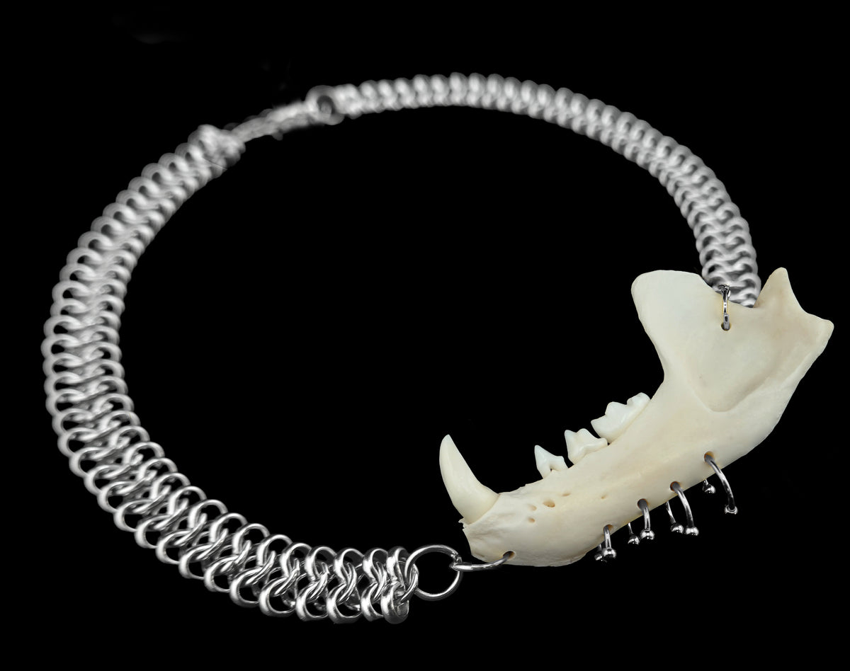 Jaw Breaker Choker