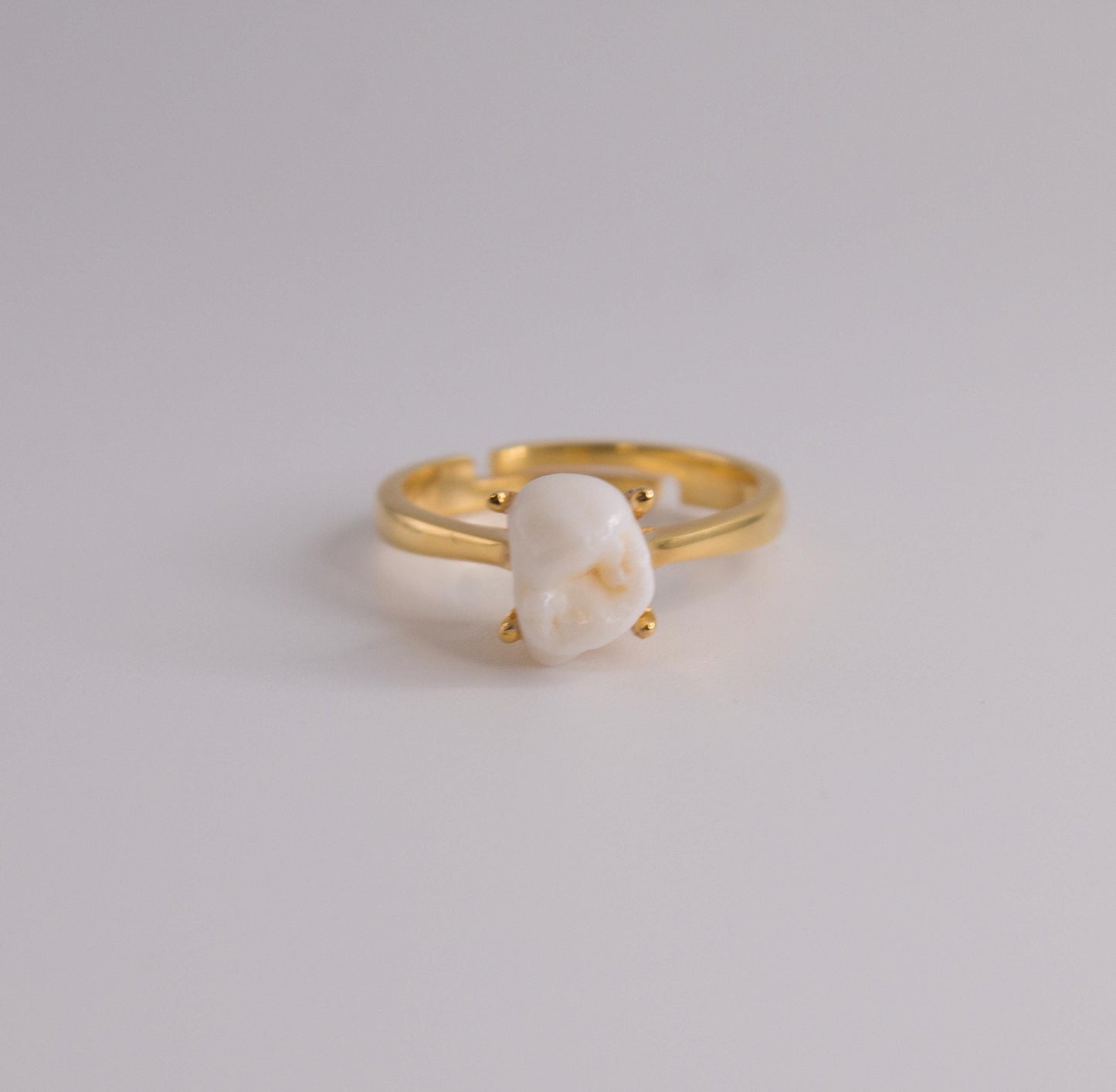 Custom Human Tooth Ring