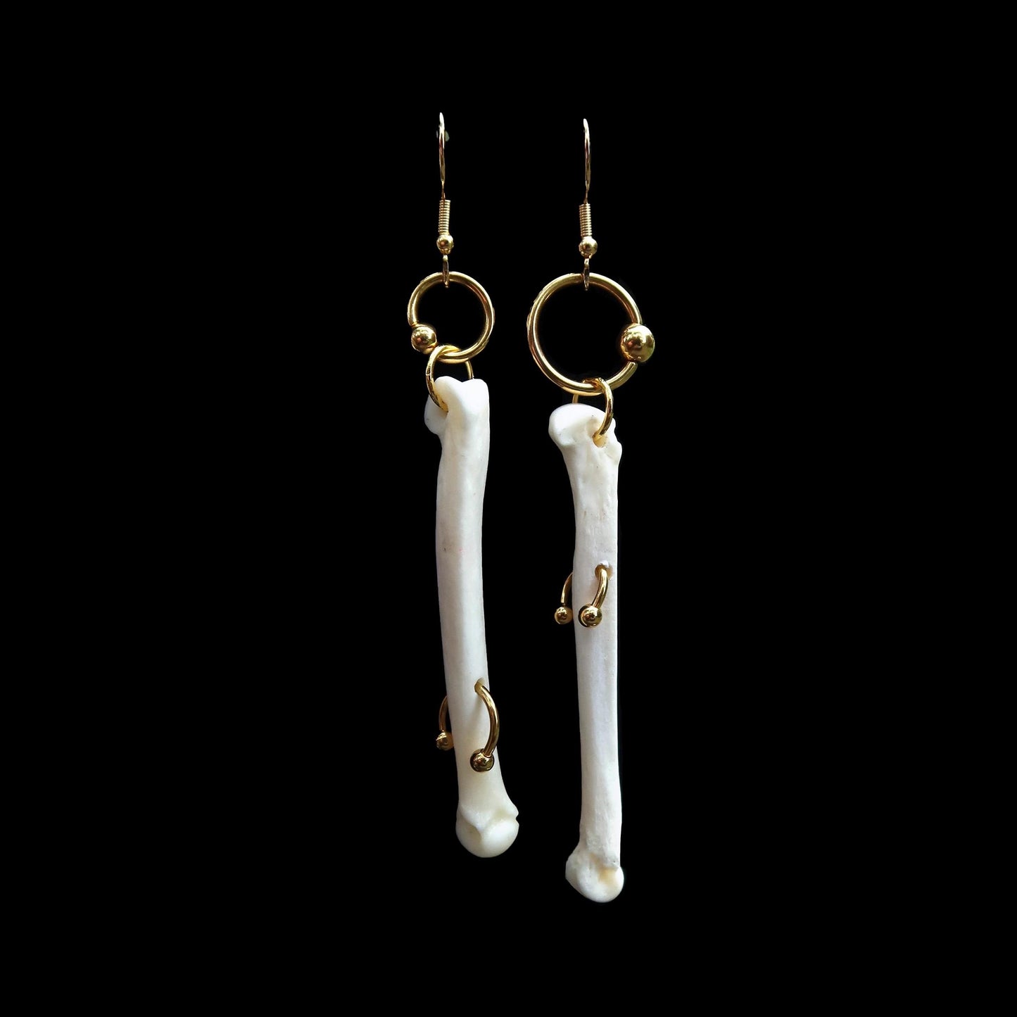 Pierced Coyote Foot Bone Earrings