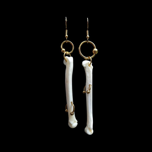 Pierced Coyote Foot Bone Earrings