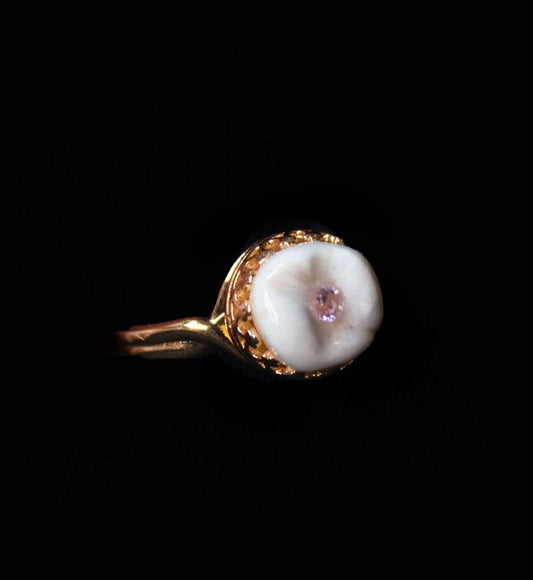 Filled Cavity Ring