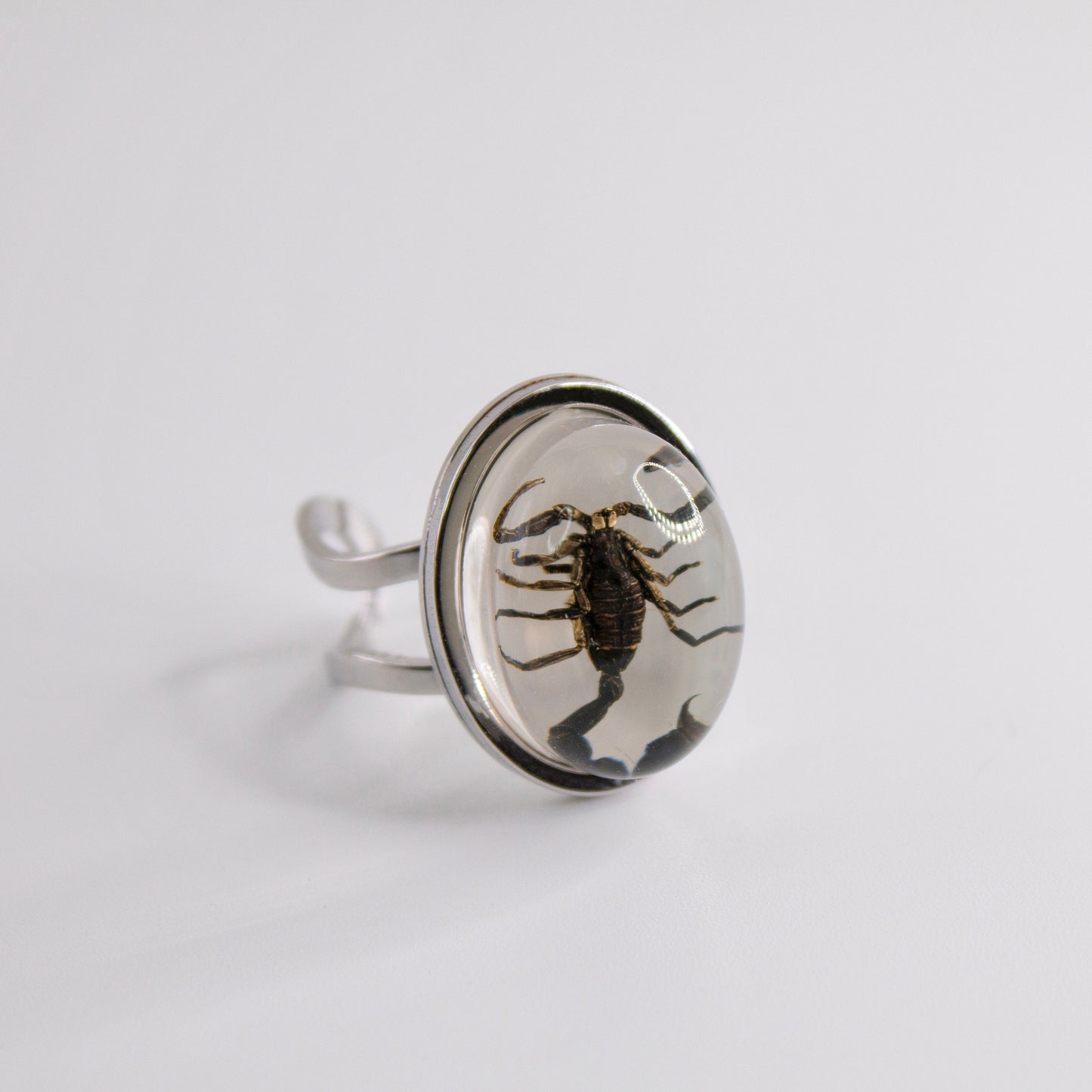 Scorpio Rings Real Scorpion