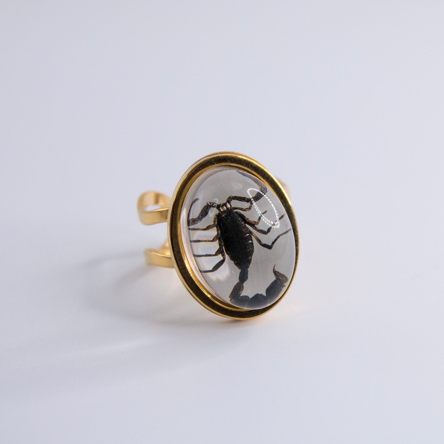 Scorpio Rings Real Scorpion