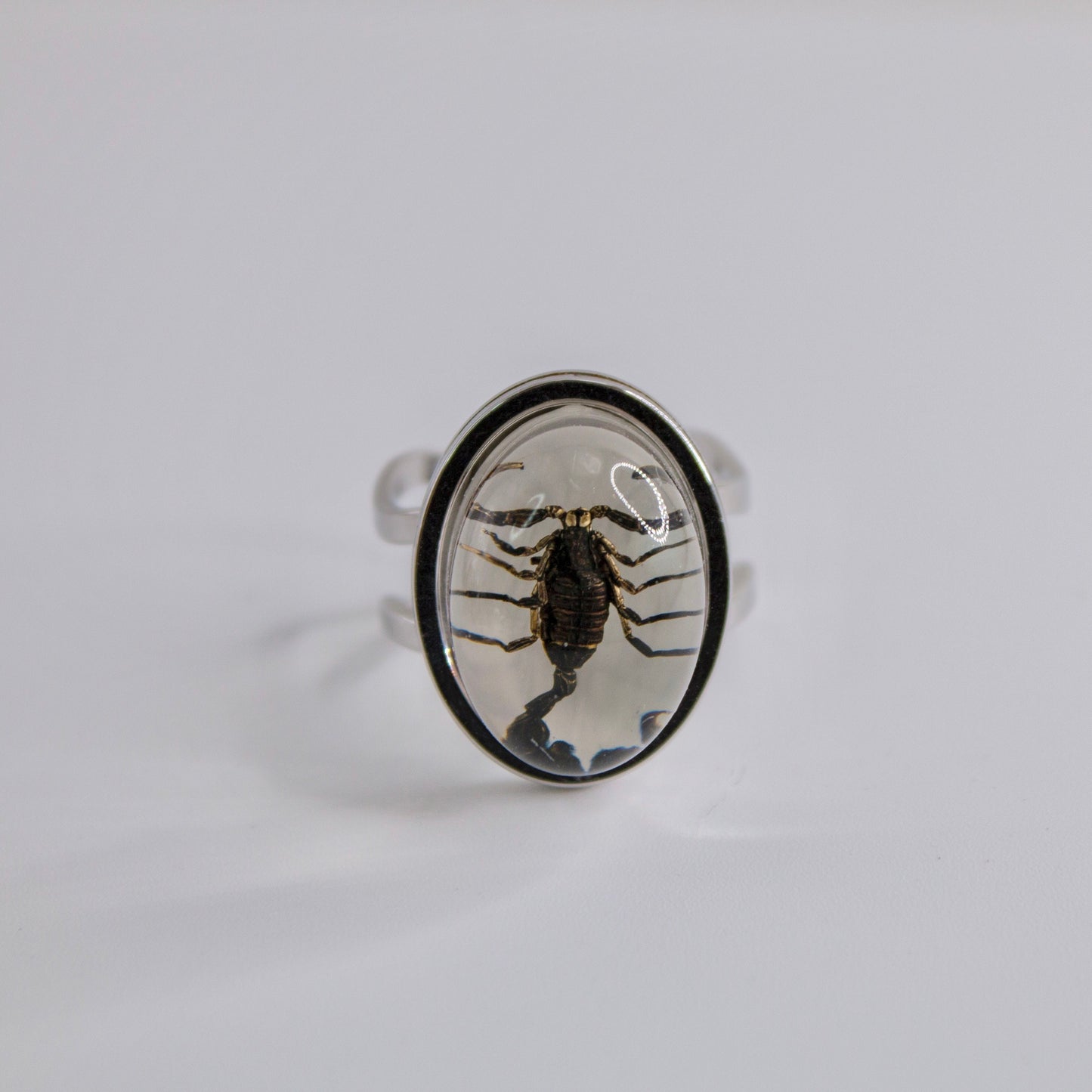 Scorpio Rings Real Scorpion