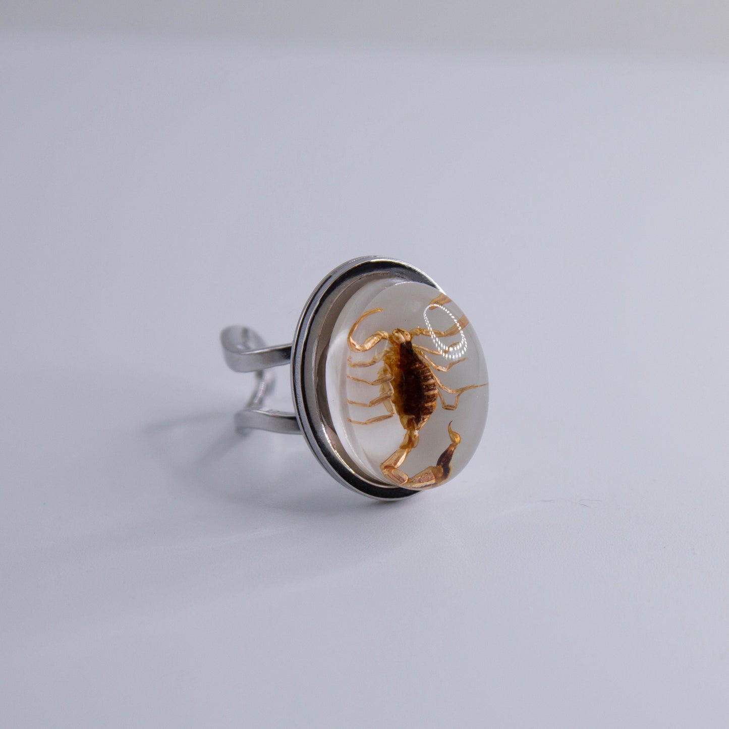 Scorpio Rings Real Scorpion