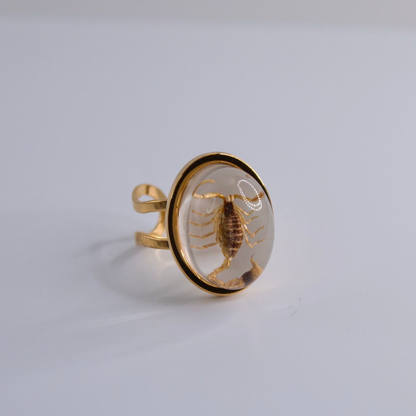 Scorpio Rings Real Scorpion