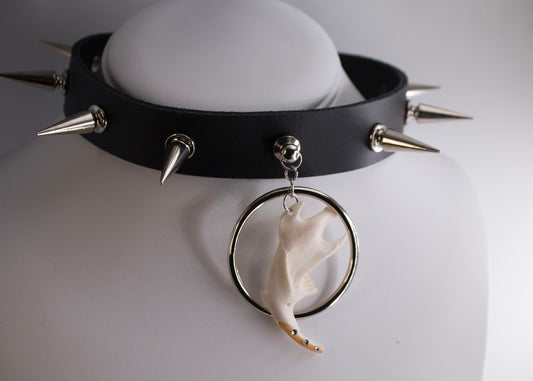 Jaw Dropper Muskrat Jaw-bone Leather Choker